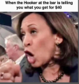 Click image for larger version

Name:	2 kamala the hooker.png
Views:	22
Size:	316.2 KB
ID:	1078