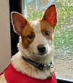 Click image for larger version

Name:	IMG_1637.jpg
Views:	35
Size:	96.1 KB
ID:	1279